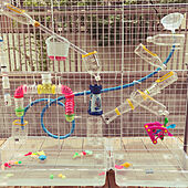 DIYなら子どもももっと喜ぶ♡愛情を込めて作りたいおもちゃ特集