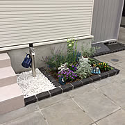 セリア Seria ららぽーと立川立飛のまとめページ Roomclip ルームクリップ