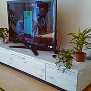 観葉植物のある部屋/花のある生活/IKEA ラグ/IKEA 照明/無垢材...などのインテリア実例 - 2016-12-30 15:06:59 ...