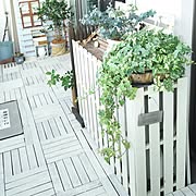 3coins スリーコインズ 静岡 富士の国のまとめページ Roomclip ルームクリップ