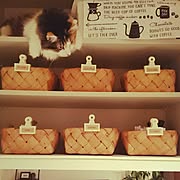 3coins スリーコインズ 静岡 富士の国のまとめページ Roomclip ルームクリップ