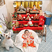 H M Home 横浜 みなとみらいのまとめページ Roomclip ルームクリップ H M Home 横浜 みなとみらいのまとめページ Roomclip ルームクリップ