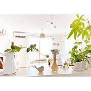 モニター参加写真