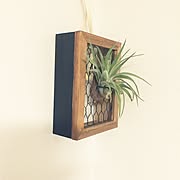 セリア Seria バークチップのまとめページ Roomclip ルームクリップ セリア Seria バークチップのまとめページ Roomclip ルームクリップ