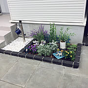 セリア Seria ららぽーと立川立飛のまとめページ Roomclip ルームクリップ