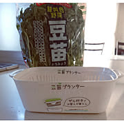 セリア Seria 豆苗のまとめページ Roomclip ルームクリップ