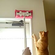 モニター参加写真