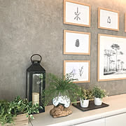サンゲツ 壁紙 施工例のまとめページ Roomclip ルームクリップ サンゲツ 壁紙 施工例のまとめページ Roomclip ルームクリップ