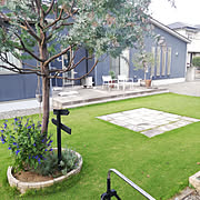 名古屋モザイクタイル グリーン 庭づくりのまとめページ Roomclip ルームクリップ