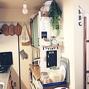 ダイソー ホーローバットのまとめページ Roomclip ルームクリップ