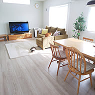 Lime Lime インテリアのカバー写真