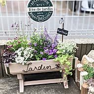 WOODPROのカバー写真
