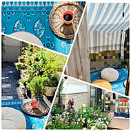 SUNROCK in Livingのカバー写真