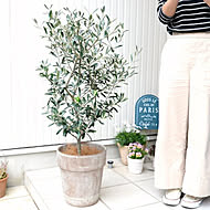 植物を楽しもう LAND PLANTSのカバー写真