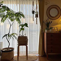 スタンドライト/シンプルな暮らし/観葉植物/ヴィンテージ家具/IKEA...などのインテリア実例 - 2023-04-03 17:03:17