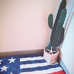 リビング/American/星条旗/cactus/サボテン...などのインテリア実例 - 2016-08-31 08:42:39