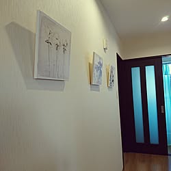 壁/天井/廊下/廊下の壁/ニトリのインテリア実例 - 2017-05-18 18:13:14