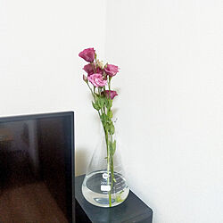 リビング/お花のある暮らし/花瓶/フラスコ花瓶/テレビ横の棚のインテリア実例 - 2022-08-14 17:31:26
