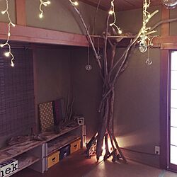 部屋全体/和室にツリー/DIY/流木×エアープランツのインテリア実例 - 2015-01-14 14:36:33