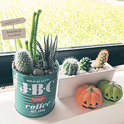 ハロウィン/サボテン/多肉植物/10分でできる/Daiso...などのインテリア実例 - 2020-10-07 08:12:17