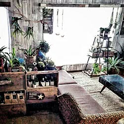 リビング/DIY/植物のある暮らし/観葉植物/JUNK...などのインテリア実例 - 2016-09-23 05:46:04