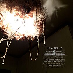 壁/天井/フロートリース/Atelier Vanira/ドライフラワーのインテリア実例 - 2014-04-26 21:42:41