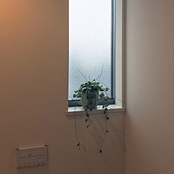 バス/トイレ/観葉植物のインテリア実例 - 2017-03-31 14:25:33