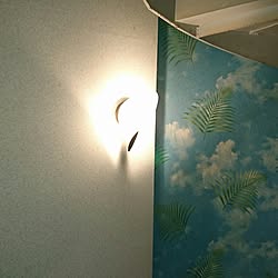 壁/天井のインテリア実例 - 2017-05-13 01:18:06