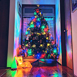 玄関/入り口/土間のある暮らし/クリスマスツリー/クリスマスライト/バンビのインテリア実例 - 2020-12-02 17:49:03