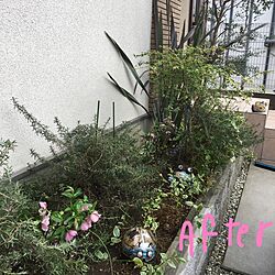 玄関/入り口/花壇のインテリア実例 - 2017-03-11 16:47:22
