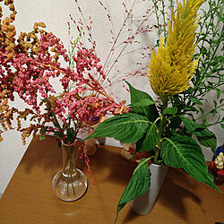 玄関/入り口/植物/お花のインテリア実例 - 2021-10-18 00:10:10