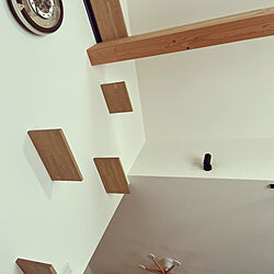 猫階段/壁/天井のインテリア実例 - 2023-03-27 20:10:03