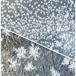 雪の結晶/雪の花/自然のアート/物置のドア/今朝はマイナス10度...などのインテリア実例 - 2019-12-07 08:02:34