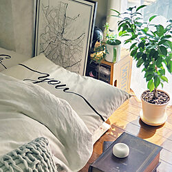 ベッド周り/初投稿/一人暮らし/IKEA/観葉植物のインテリア実例 - 2019-06-04 14:27:25