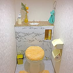 バス/トイレ/トイレDIY/DIY/一人暮らし/休日...などのインテリア実例 - 2017-04-06 01:36:21