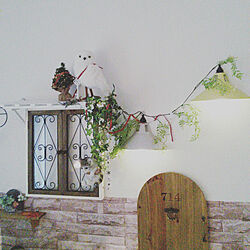 壁/天井/植物のある暮らし/猫と暮らす/雑貨/壁飾り...などのインテリア実例 - 2022-11-16 09:29:15