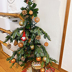 生木のクリスマスツリー/クリスマスツリー/クリスマス/リビングのインテリア実例 - 2022-12-14 10:56:14