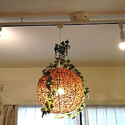 リビング/照明/植物のインテリア実例 - 2013-06-04 09:44:58