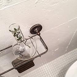 バス/トイレ/トイレットペーパーホルダー/植物/フラスコ/真鍮...などのインテリア実例 - 2015-09-02 23:44:21