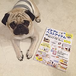 IKEA/イケア/イケアのベストアイテム/雑誌掲載/掲載誌のインテリア実例 - 2016-11-28 19:45:24