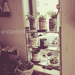 部屋全体/Instagram→andante365/ブログ更新しました(*´艸‘*)/100均/収納...などのインテリア実例 - 2015-02-25 14:07:33