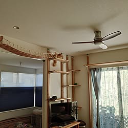 部屋全体/DIYのインテリア実例 - 2023-07-26 23:50:33