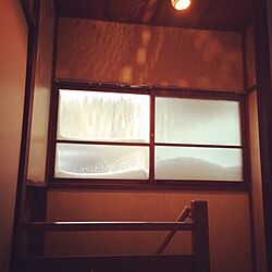 壁/天井/照明/階段/階段踊り場/窓のインテリア実例 - 2014-02-16 19:25:45