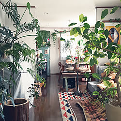 部屋全体/グリーンのある暮らし/少しでもグリーンを/観葉植物/お気に入り...などのインテリア実例 - 2021-02-05 14:59:31