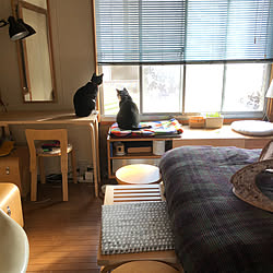 猫/Eames/artek/昭和に北欧/窓と猫の物語2021withYKKAP...などのインテリア実例 - 2021-11-17 17:59:45