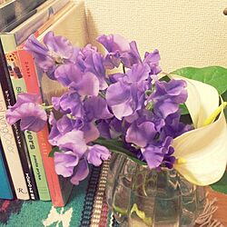 花/植物/雑貨のインテリア実例 - 2015-02-10 14:20:28