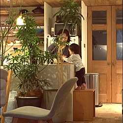 キッチン/観葉植物/ナチュラル/アンティーク/照明のインテリア実例 - 2015-06-19 00:13:31