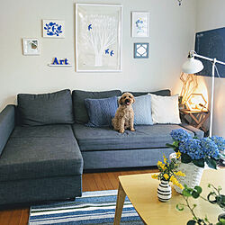 IKEAのソファー/ニトリのラグ/ニトリのフレーム/自作アート/ケーラー オマジオ...などのインテリア実例 - 2020-05-08 19:35:28