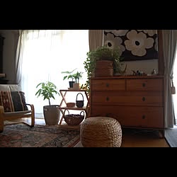 棚/グリーンのある暮らし/ニトリ/IKEA/marimekko...などのインテリア実例 - 2015-08-08 23:07:53