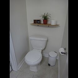 DIY/シンプルなトイレ/観葉植物/バス/トイレのインテリア実例 - 2015-02-20 21:15:14